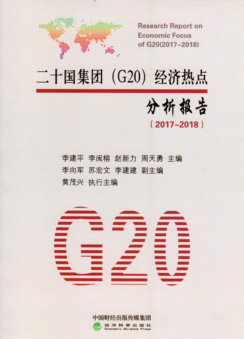 看操bb的网站二十国集团（G20）经济热点分析报告（2017-2018）